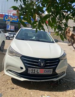 شانجان السفن